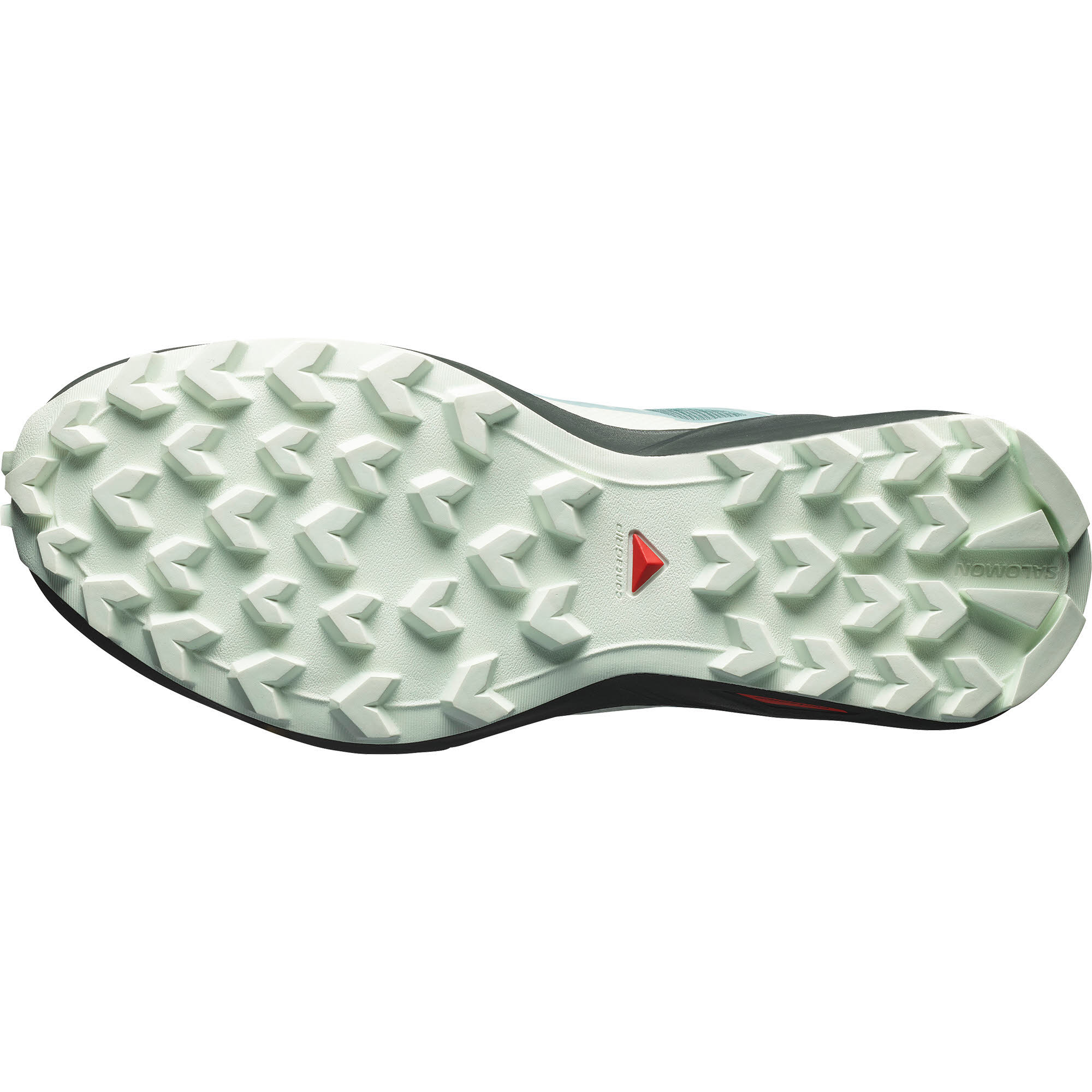 SHOES SPEEDCROSS PEAK GTX W Troope/Tourm
