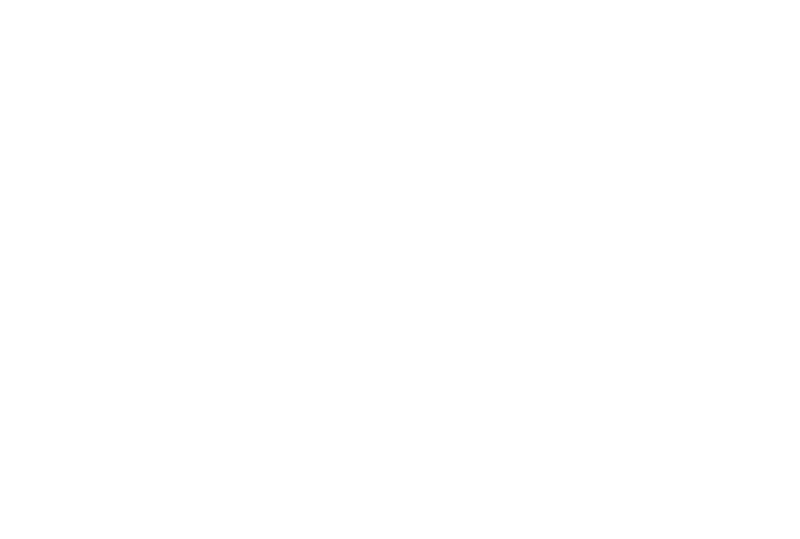 boss-logo-white