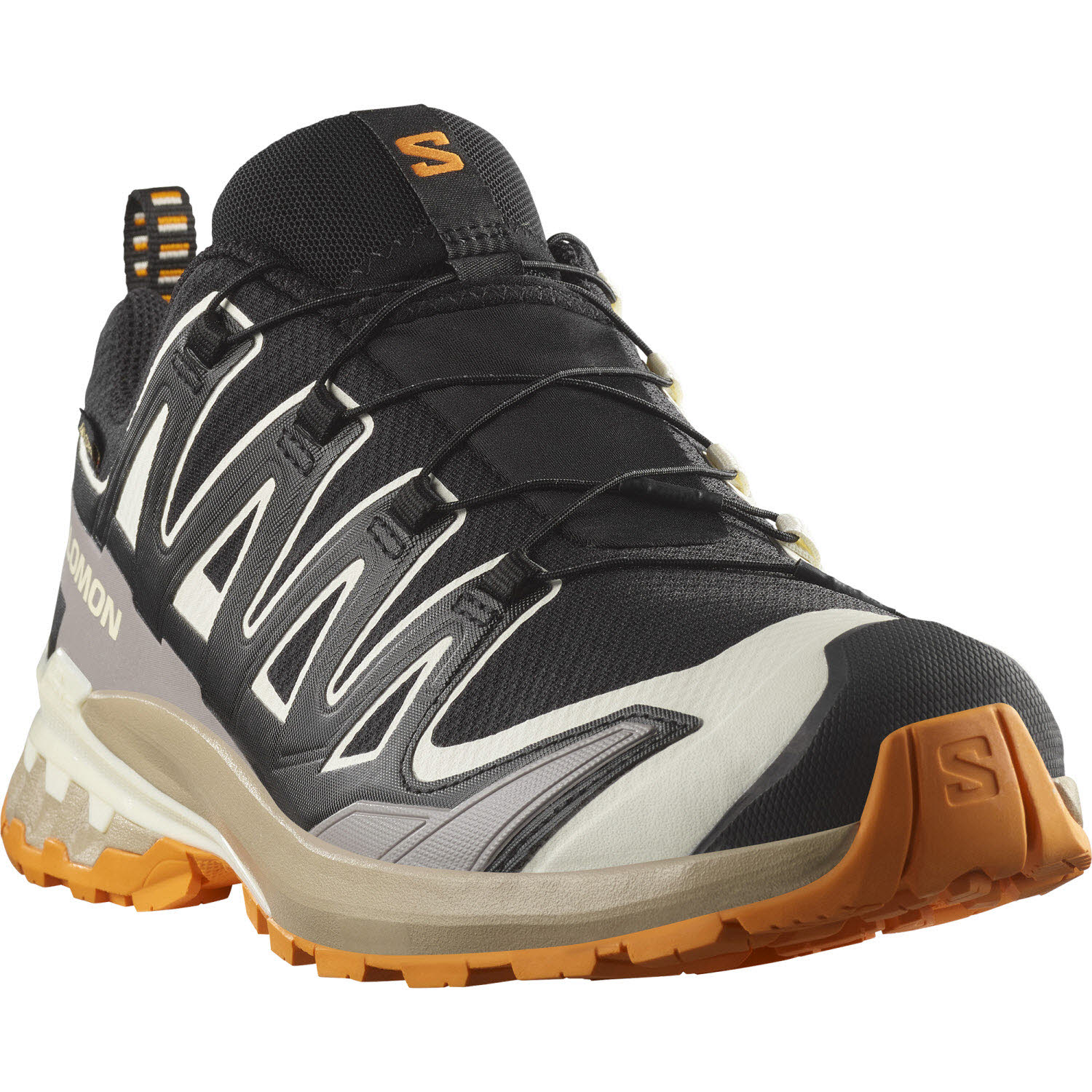 Salomon XA PRO 3D V9 GTX Herren Bild 3