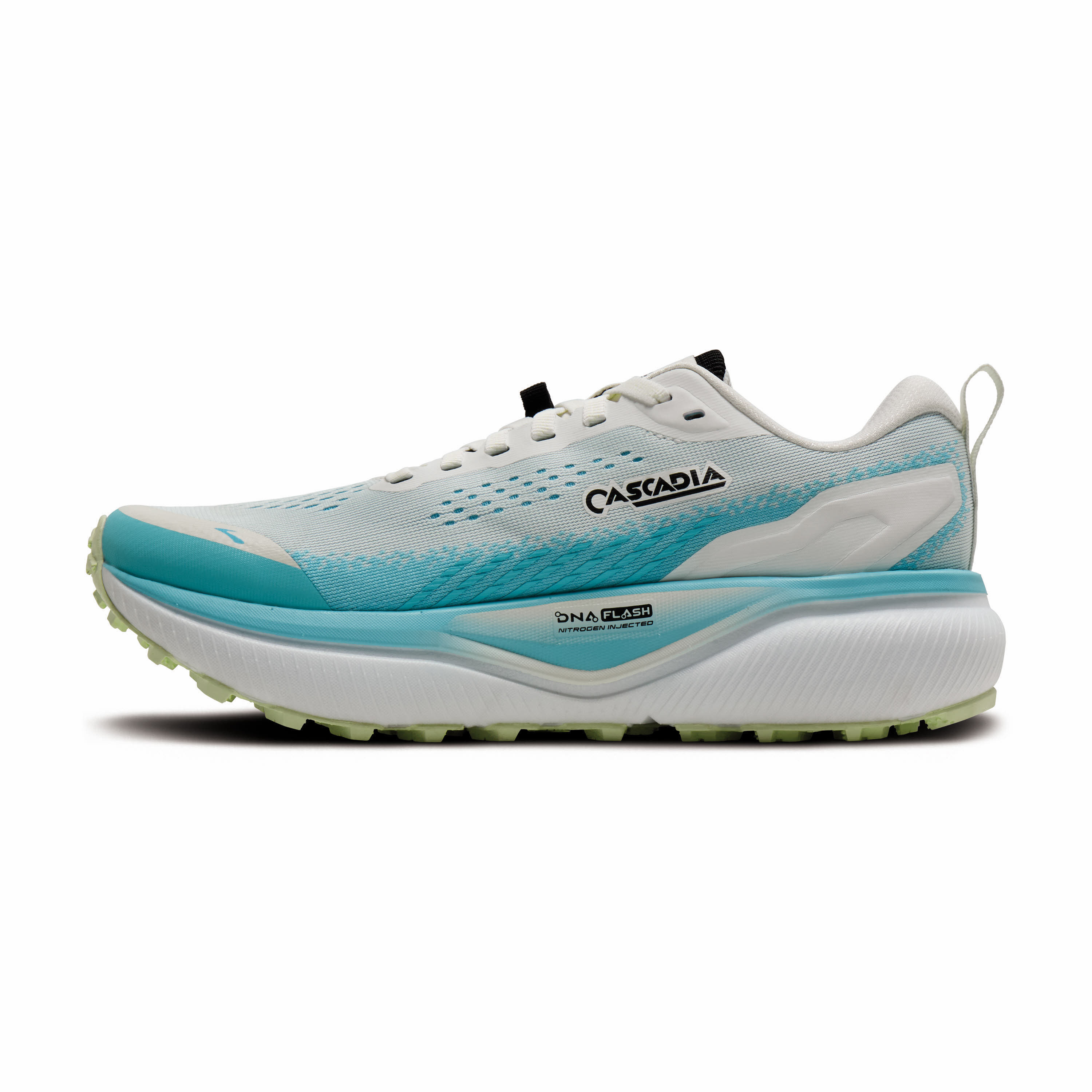Cascadia 20