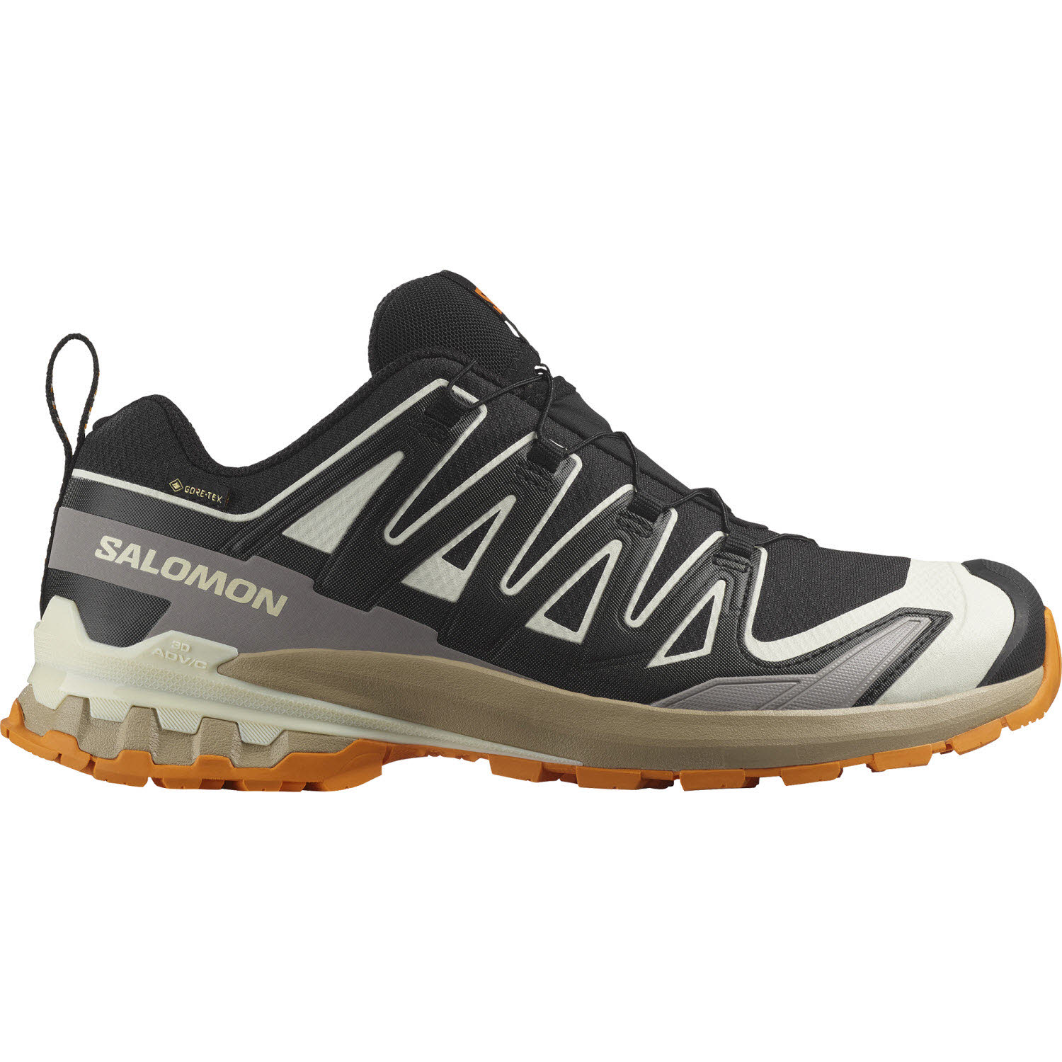 Salomon XA PRO 3D V9 GTX Herren
