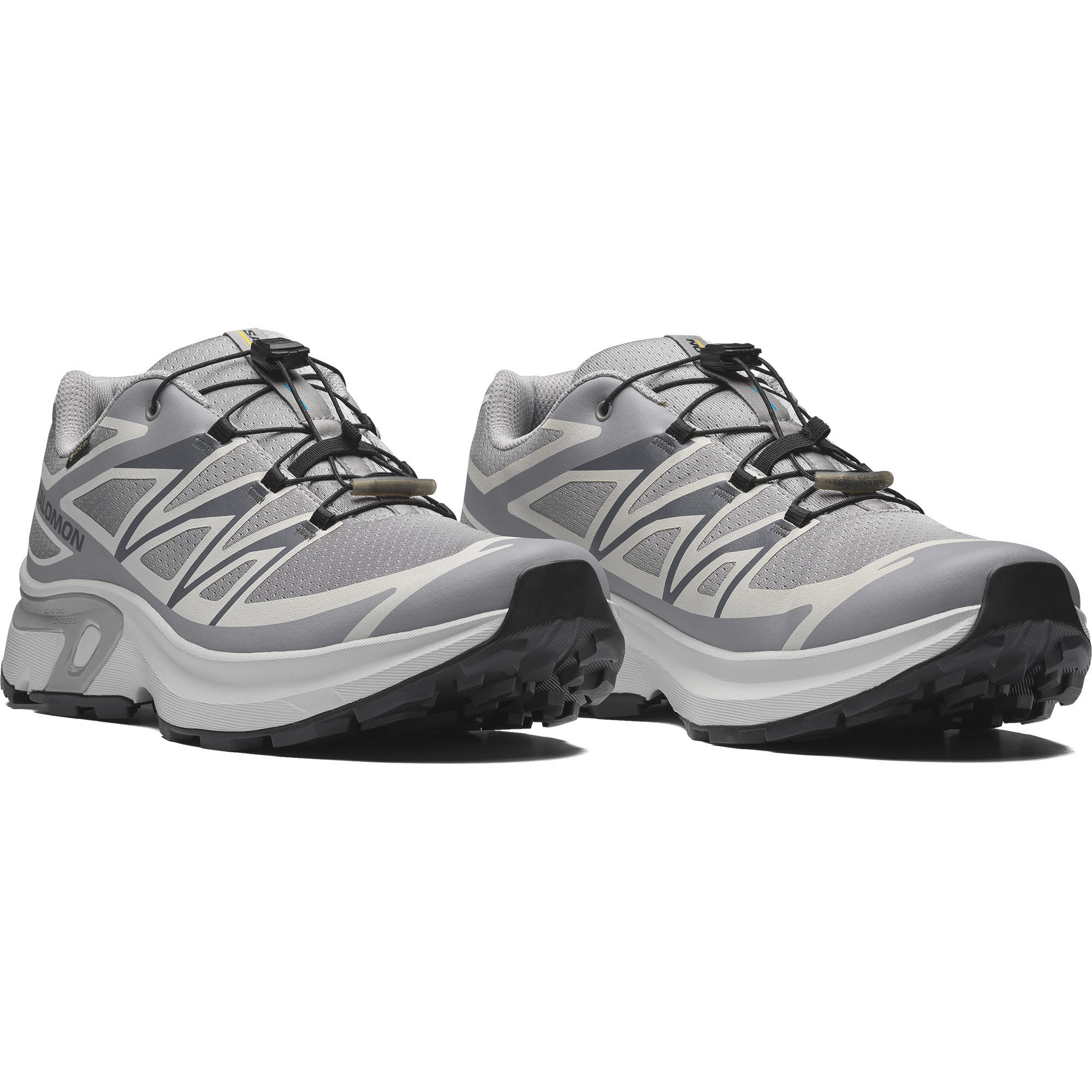 SHOES XT-EVR GTX M Alloy/LunRoc/Black