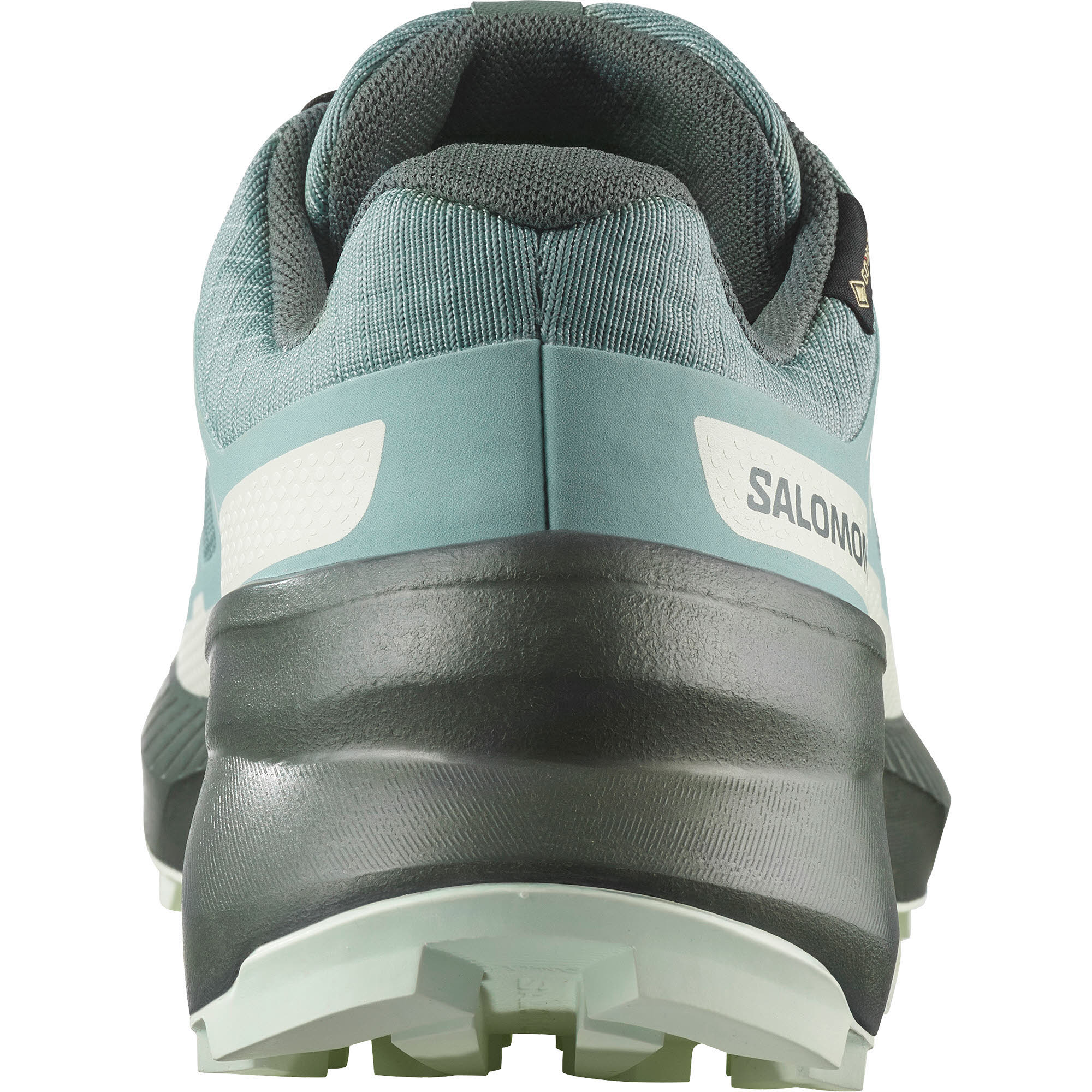SHOES SPEEDCROSS PEAK GTX W Troope/Tourm