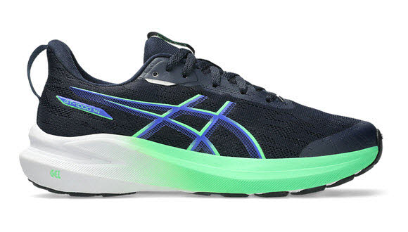 Asics GT-1000 14 GS