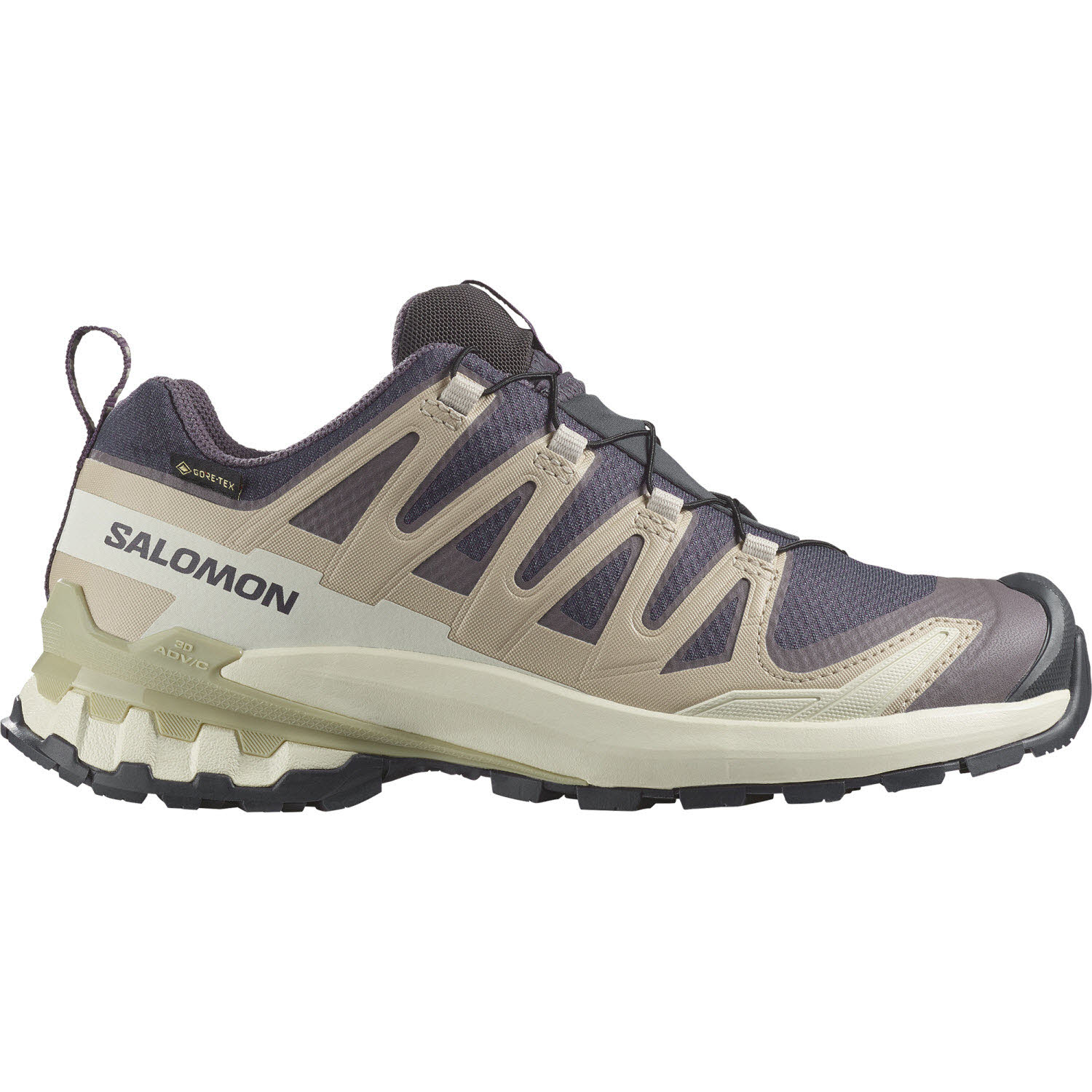 Salomon XA PRO 3D V9 GORE-TEX Trailrunning Schuh Damen