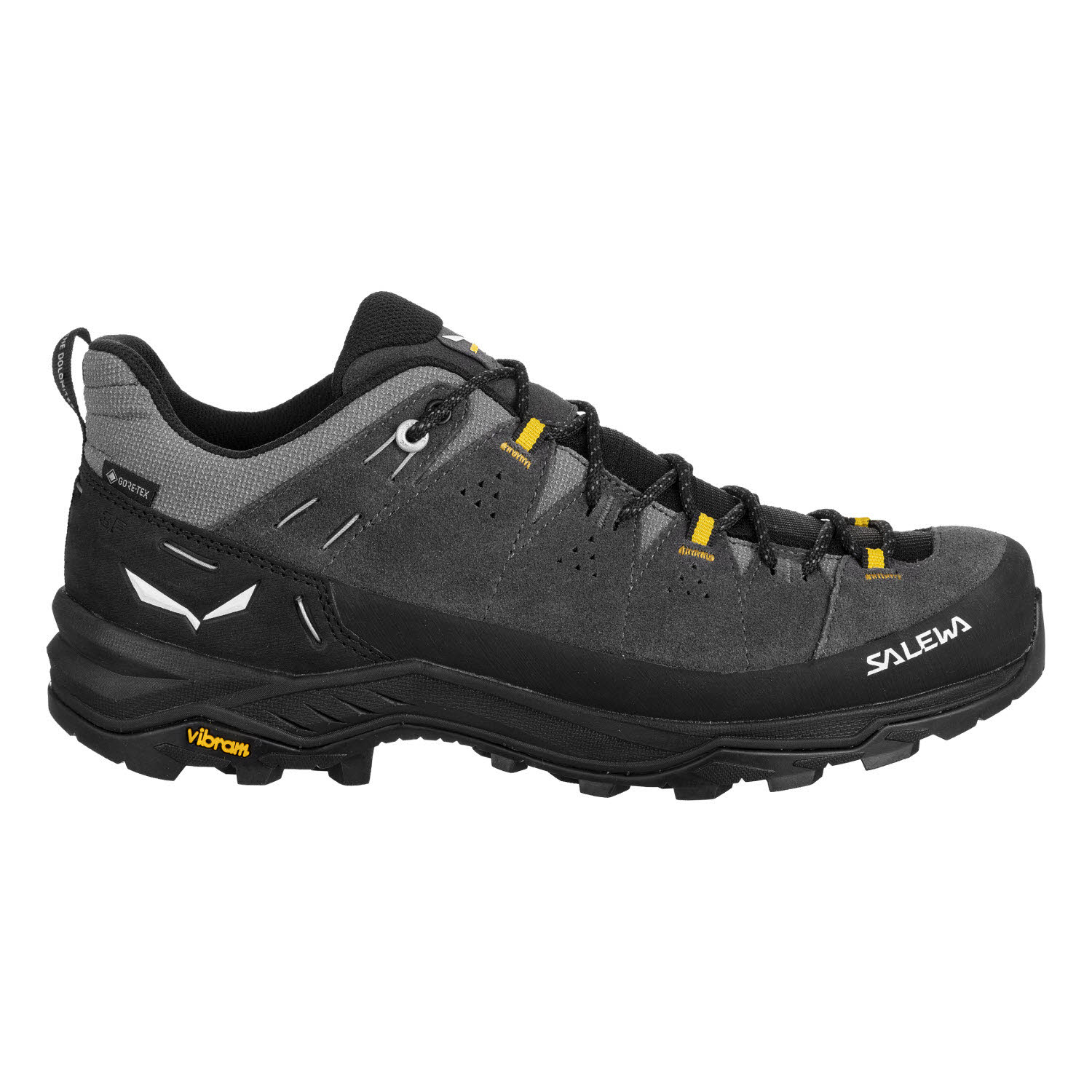 Salewa ALP TRAINER 2 GTX M