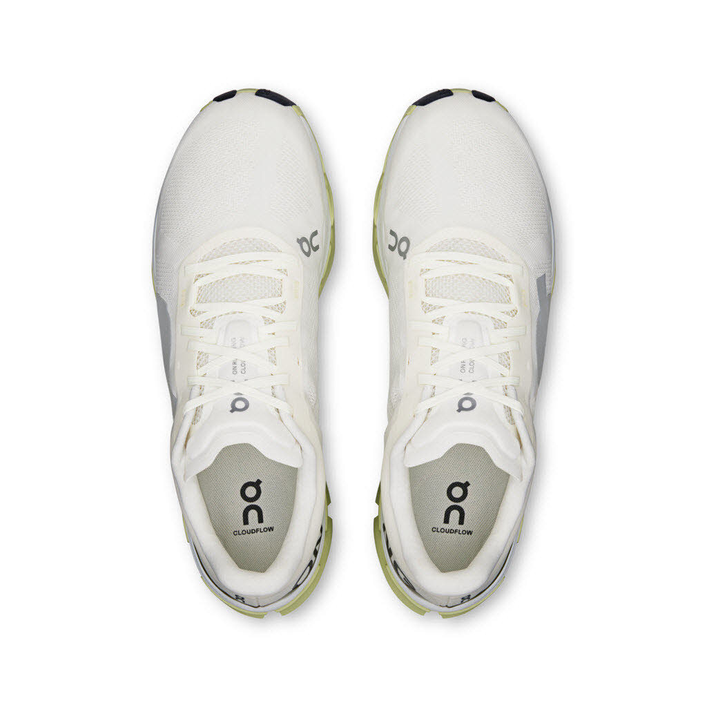 On Cloudflow 5 Laufschuhe Herren
