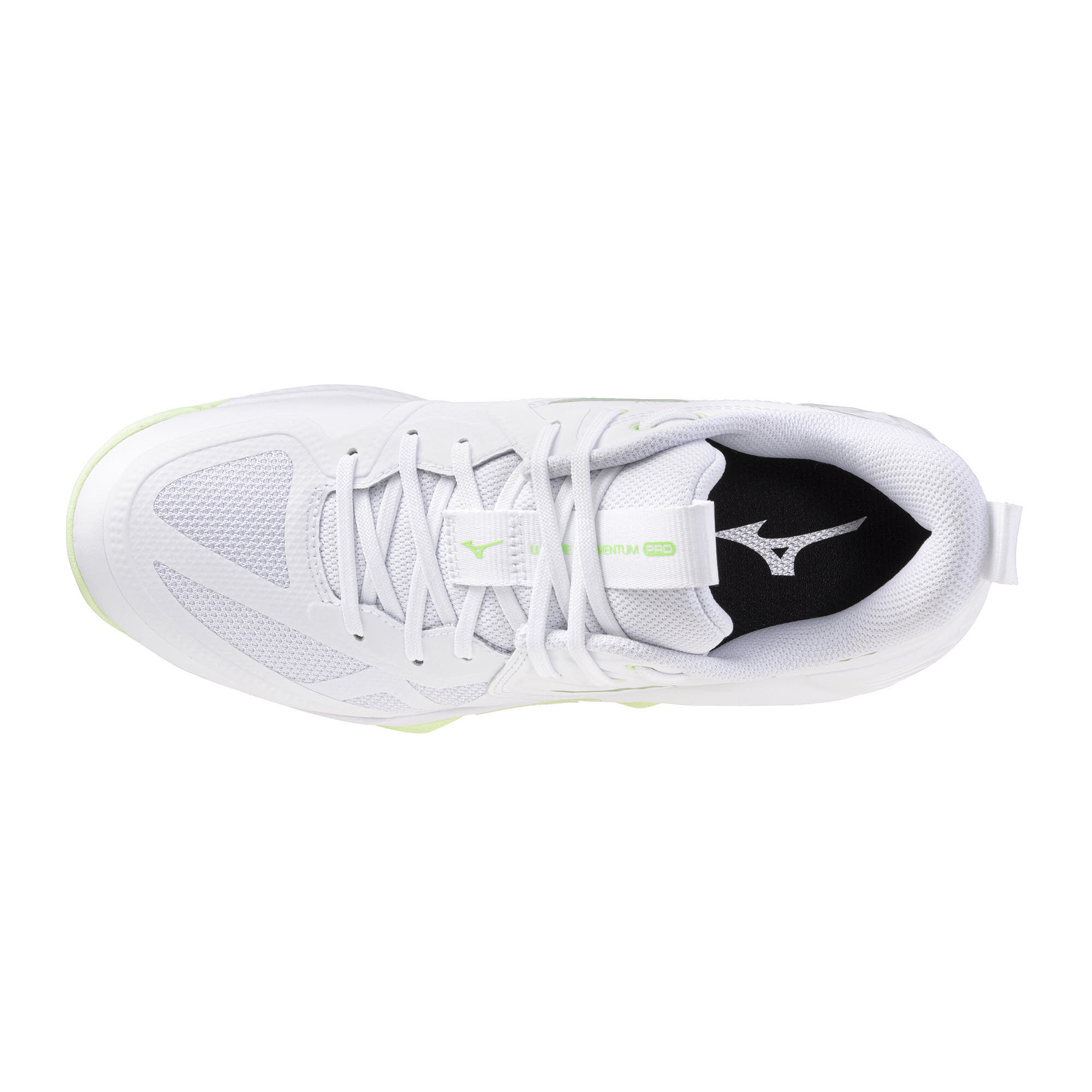WAVE MOMENTUM PRO(W)