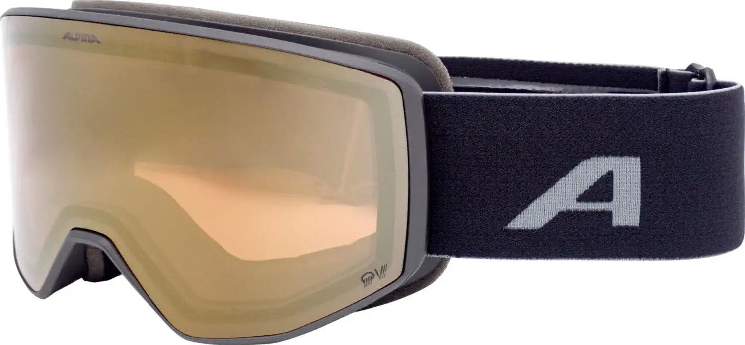 Alpina VENET QV Skibrille Bild 1 Alpina VENET QV Skibrille