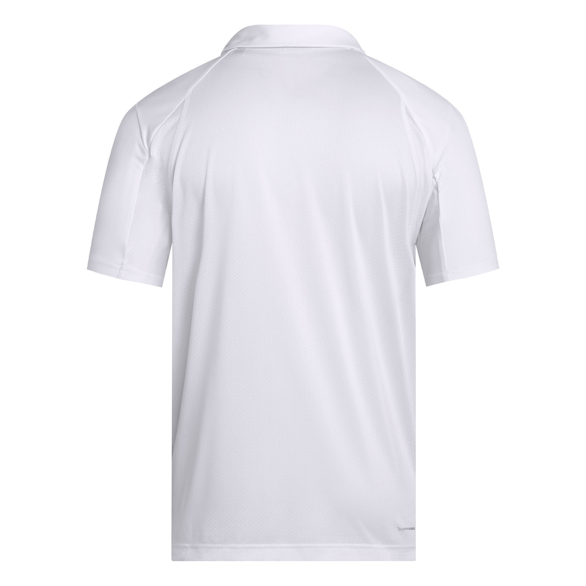 Club Polo