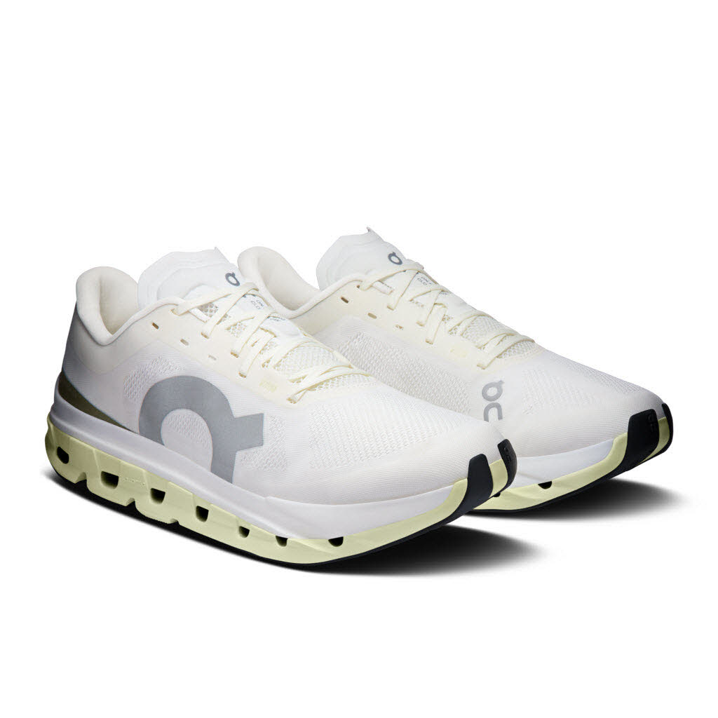On Cloudflow 5 Laufschuhe Herren