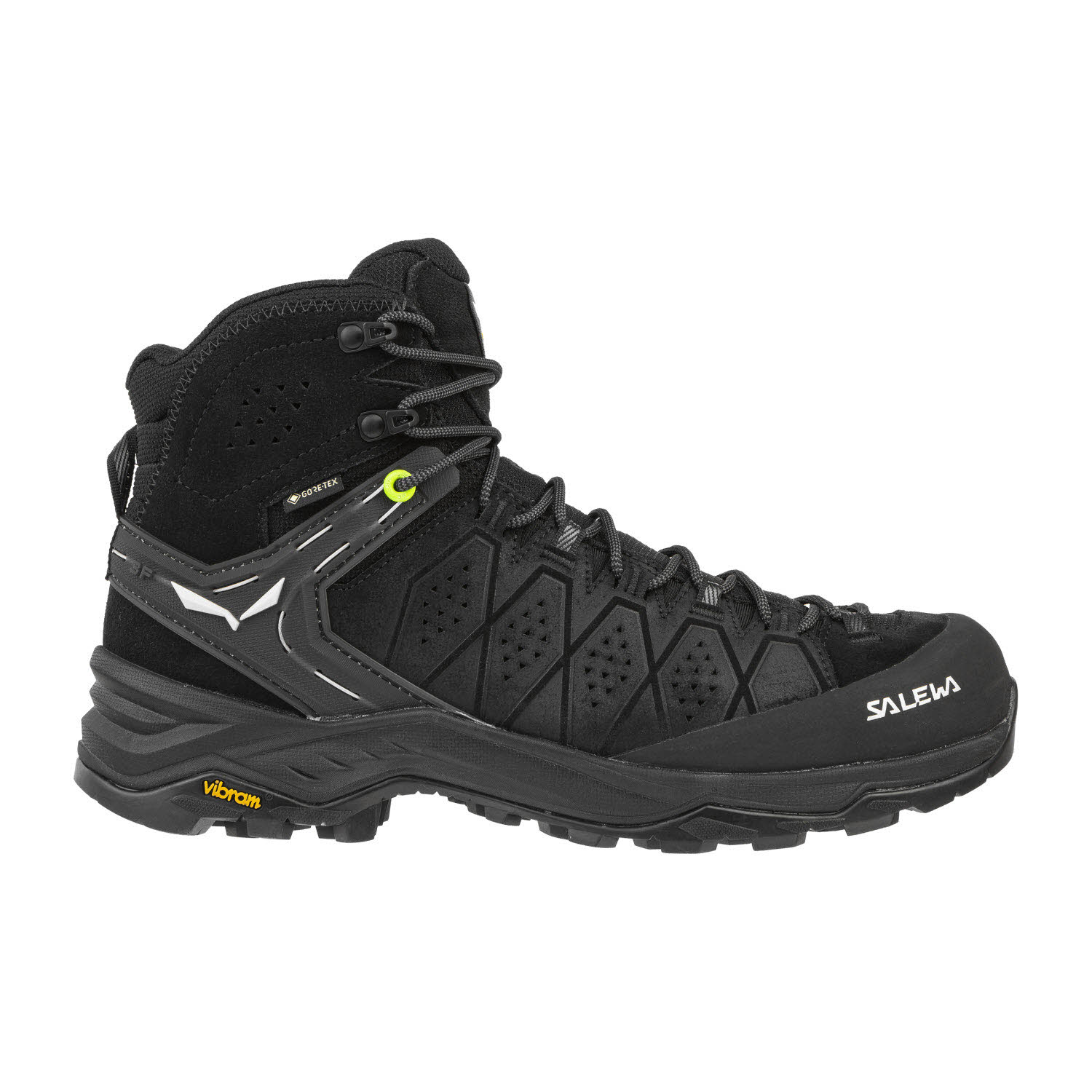 Salewa MS ALP TRAINER 2 MID GTX