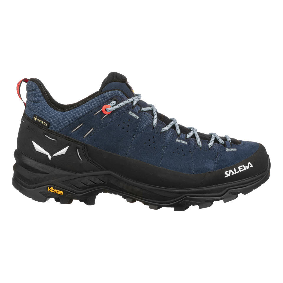 ALP TRAINER 2 GTX SHOE W
