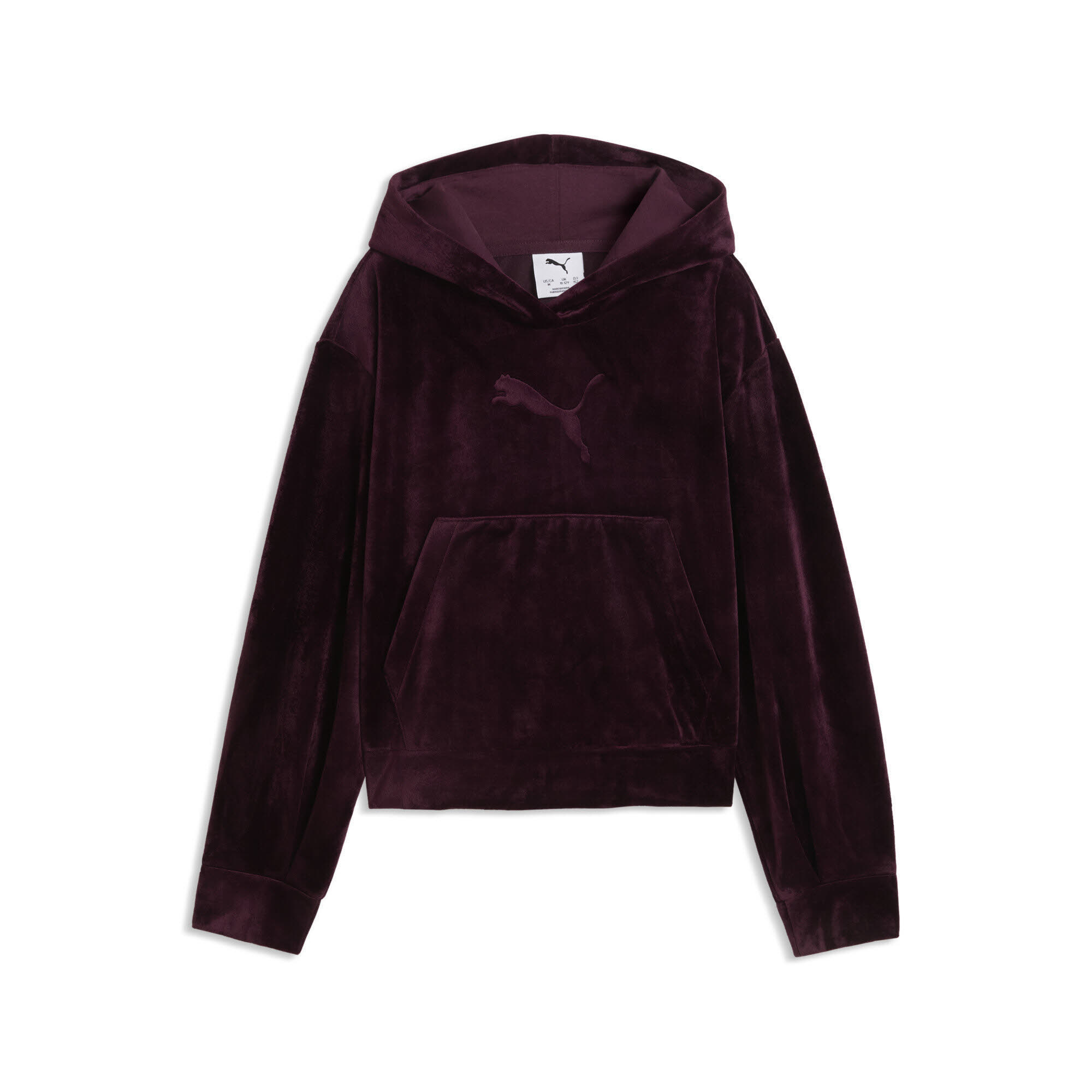 ESS ELEVATED Velour Relaxed Short Length Hoodie G