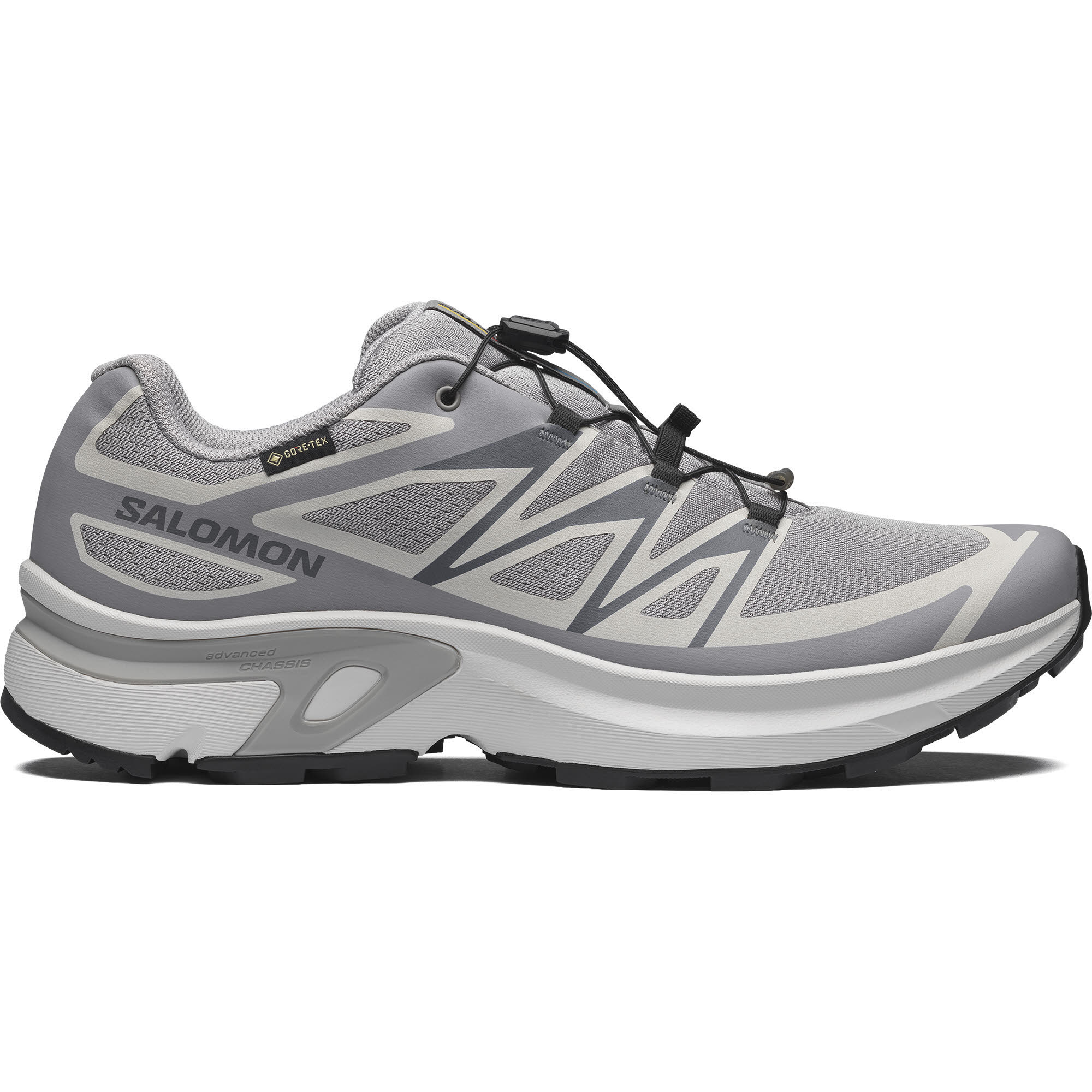 SHOES XT-EVR GTX M Alloy/LunRoc/Black