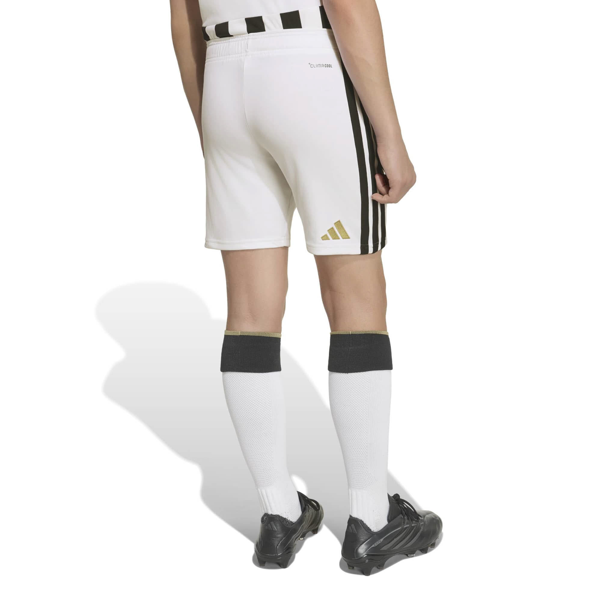 JUVE H SHO Y